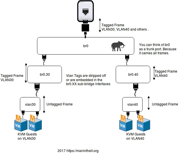 kvm_vlan1